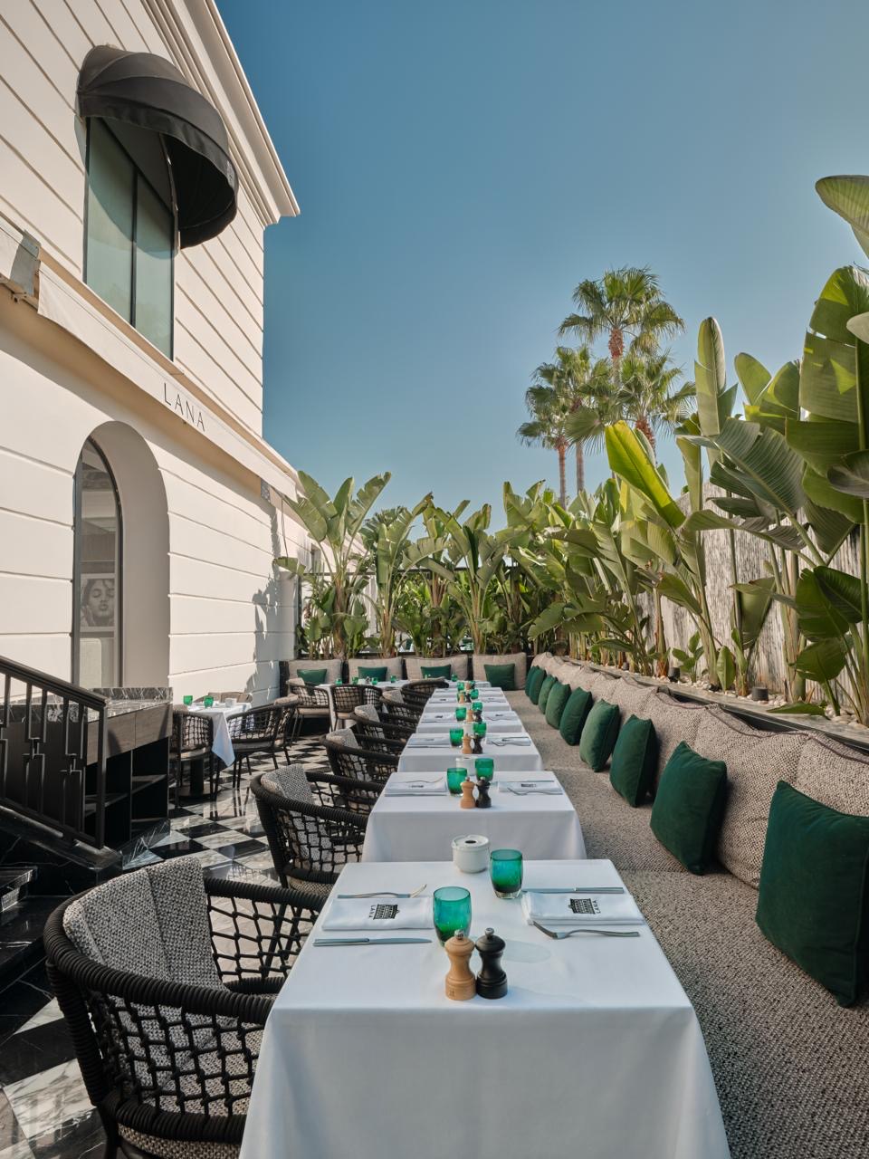 La Terrasse le long de la villa blanche, sous les palmiers